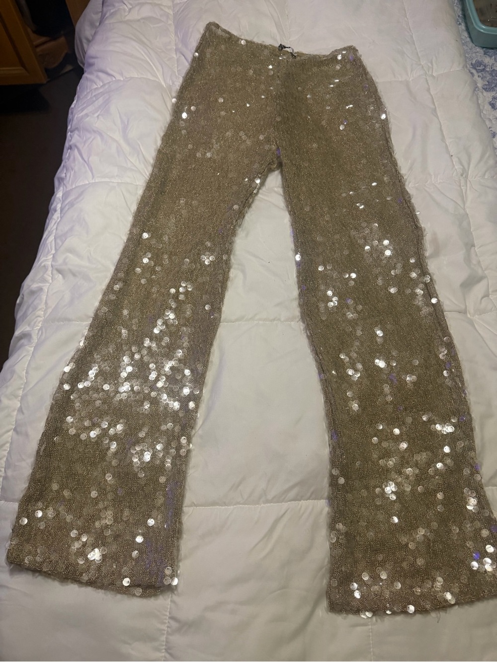 Zara semi sheer Gold/ champagne Sequin Wide-Leg Pants - Picture 2 of 7